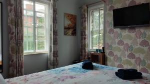 绍斯韦尔Reindeer Accomodation的一间卧室配有一张床和一台平面电视
