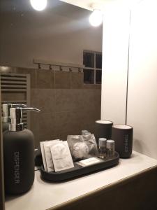 丽都迪奥斯蒂亚Appartamento Jungle Beach的浴室柜台配有肥皂机和镜子