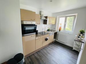 马克莱贝格NEU Auszeit in moderner Wohnung in Seen-Nähe的一间带水槽和炉灶的小厨房