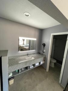 Breckenridge雷吉汽车旅馆的一间带水槽、镜子和卫生间的浴室