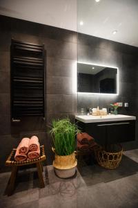 乌得勒支LOFT 188 Luxury Apartment Hotel的一间带水槽和镜子的浴室