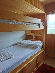 莫里永Les Oiseaux Bleus的小木屋设有两张双层床,配有窗户