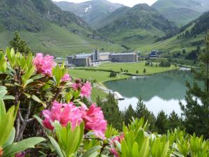 克拉尔夫斯户撒努里亚山谷酒店的享有湖泊和山脉的美景,拥有粉红色的鲜花