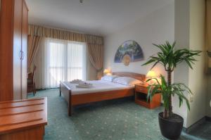 马卡尔斯卡罗西娜酒店的一间酒店客房,配有床和盆栽植物