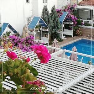 比于卡达Ascot Hotel Büyükada的享有鲜花和游泳池景色的阳台