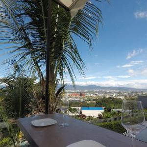 EscazúCozy private Apartment, Mirador Escazú -Great view-的一张桌子,上面放着两杯酒和棕榈树