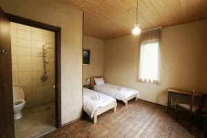 卡兹贝吉Arte的一间卧室设有两张床、淋浴和卫生间