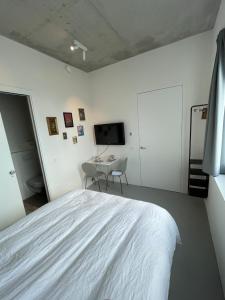阿姆斯特丹Bed & Beach Amsterdam的一间卧室配有一张床、一张书桌和一台电视。