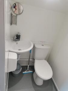 巴基Greencraig Pods的白色的浴室设有卫生间和水槽。