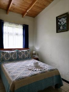 蒙泰韦尔德哥斯达黎加Cassidini House的一间卧室,床上放着碗