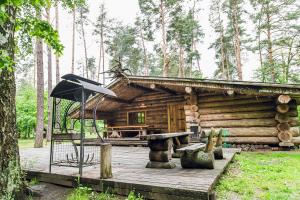 FilippovichiForest hut Stariy Prud的小木屋配有野餐桌和雨伞