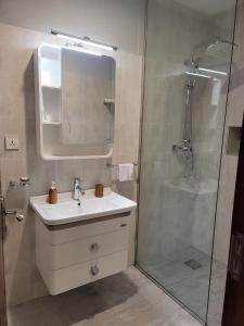 亚的斯亚贝巴Goha Addis Hotel的浴室配有盥洗盆和带镜子的淋浴