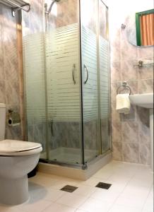 希伯仑Regency Hotel Hebron的带淋浴、卫生间和盥洗盆的浴室