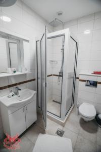 SvilajnacSOBE SVILAJNAC的带淋浴、盥洗盆和卫生间的浴室