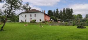 Chaux-des-CrotenayPont de la Chaux的院子里有动物的田野上的一个白色大房子