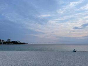 KanayamaIso Tokei - Vacation STAY 61898v的一个人在海滩上玩风筝