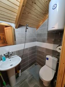 莫伊科瓦茨Guest house Green Garden的一间带卫生间和水槽的浴室