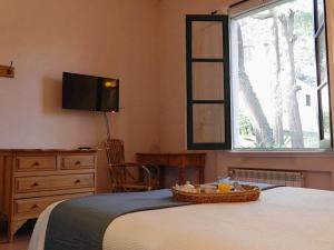 坦迪尔坎普阿卡西亚斯宾馆的一间卧室设有一张床、一台电视和一个窗口。