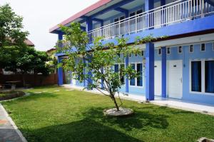 北干巴鲁肯纳利住宅旅馆的蓝楼前的树