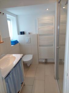 FelgentreuFerienwohnung Lotte的浴室配有卫生间、盥洗盆和淋浴。