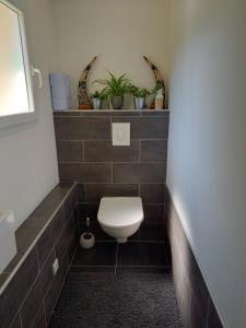 Tour-en-Solognelogement indépendant的浴室设有卫生间,并种植了植物