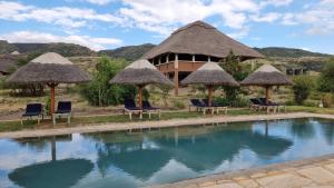 MtowabagaAfrica Safari Lake Natron Camping的一个带椅子和遮阳伞的游泳池的度假酒店