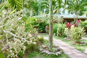 杜罗谢椰树旅馆外面的花园