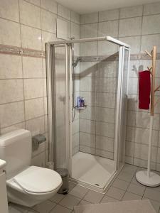 LumbreinFerienwohnung CASA URSIN Val Lumnezia的带淋浴和卫生间的浴室