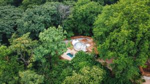 诺萨拉Nosara Satori Bubbles的森林中央游泳池的顶部景观