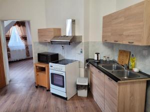 卡罗维发利Studentská apartments的一间带水槽和炉灶的小厨房