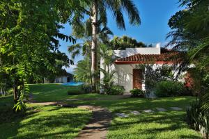 蒙特苏马素馨别墅的一条通往棕榈树房屋的路径