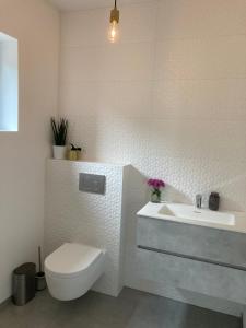 亨克B&B La Miniera的白色的浴室设有卫生间和水槽。