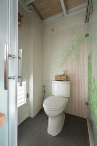 梅山乡朵麗絲森林的浴室设有卫生间,拥有粉红色和绿色的墙壁