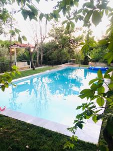 阿纳维索斯VILLA ELENI的草地上的大型蓝色游泳池
