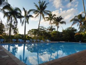 圣卢西亚HAPPY HOUSE @ 16的一座棕榈树环绕的游泳池