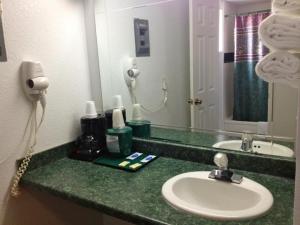 Hamilton汉密尔顿旅馆的浴室的柜台设有水槽和镜子