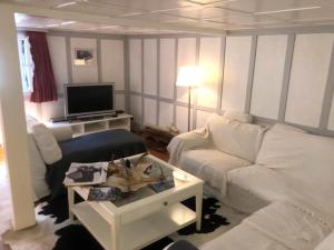 安德马特迷人瑞士安德马特姆屋的客厅配有白色沙发和电视