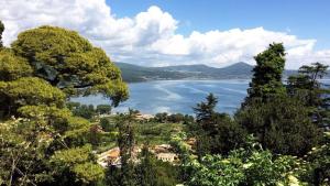 布拉恰诺Alloggio Turistico La Panoramica - Bracciano (Roma)的树木成荫的大片水景