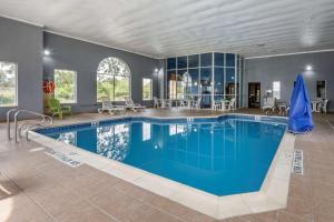 华盛顿梅多兰兹康福特茵酒店的一座蓝色水的大型游泳池
