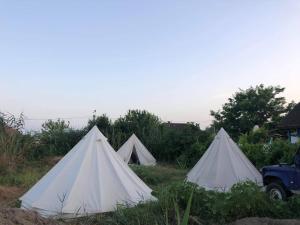 苏利纳Danube Delta Hostel Homestay & Camping的一群帐篷在田野里,有卡车