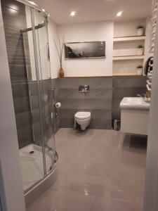 克雷尼察Apartament Kraszewskiego 35的带淋浴、卫生间和盥洗盆的浴室