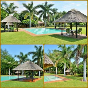 科玛蒂普特大象漫步休养度假酒店的一张带有游泳池和遮阳伞的度假村的四张照片的拼贴画