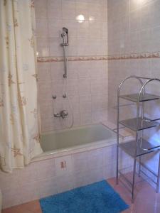 巴拉顿诺尔马迪Apartment in Balatonalmadi/Balaton 17977的一间带绿色浴缸和淋浴的浴室