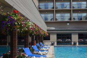 基洛纳卡普里海岸酒店 的酒店游泳池设有蓝色躺椅和鲜花