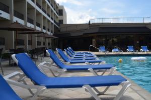 基洛纳卡普里海岸酒店 的游泳池里一排蓝色的躺椅