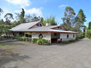 沃尔卡诺Lokahi Lodge的车道上金属屋顶的房子