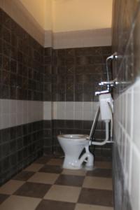 瓦拉纳西Mother Hostel的一间带卫生间和瓷砖墙的浴室