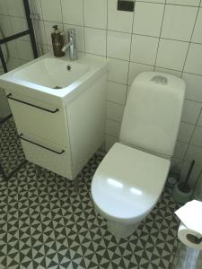 恩雪平Smedjan cottage的浴室配有白色卫生间和盥洗盆。