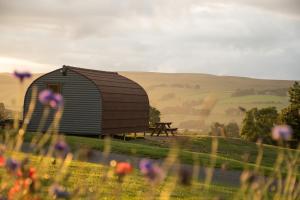 赫克瑟姆Wild Northumberland Glamping的花草丛中谷仓