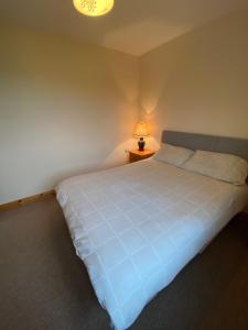 斯莱戈Castlebaldwin Country Residence的一间卧室配有一张蓝色的床,上面有灯